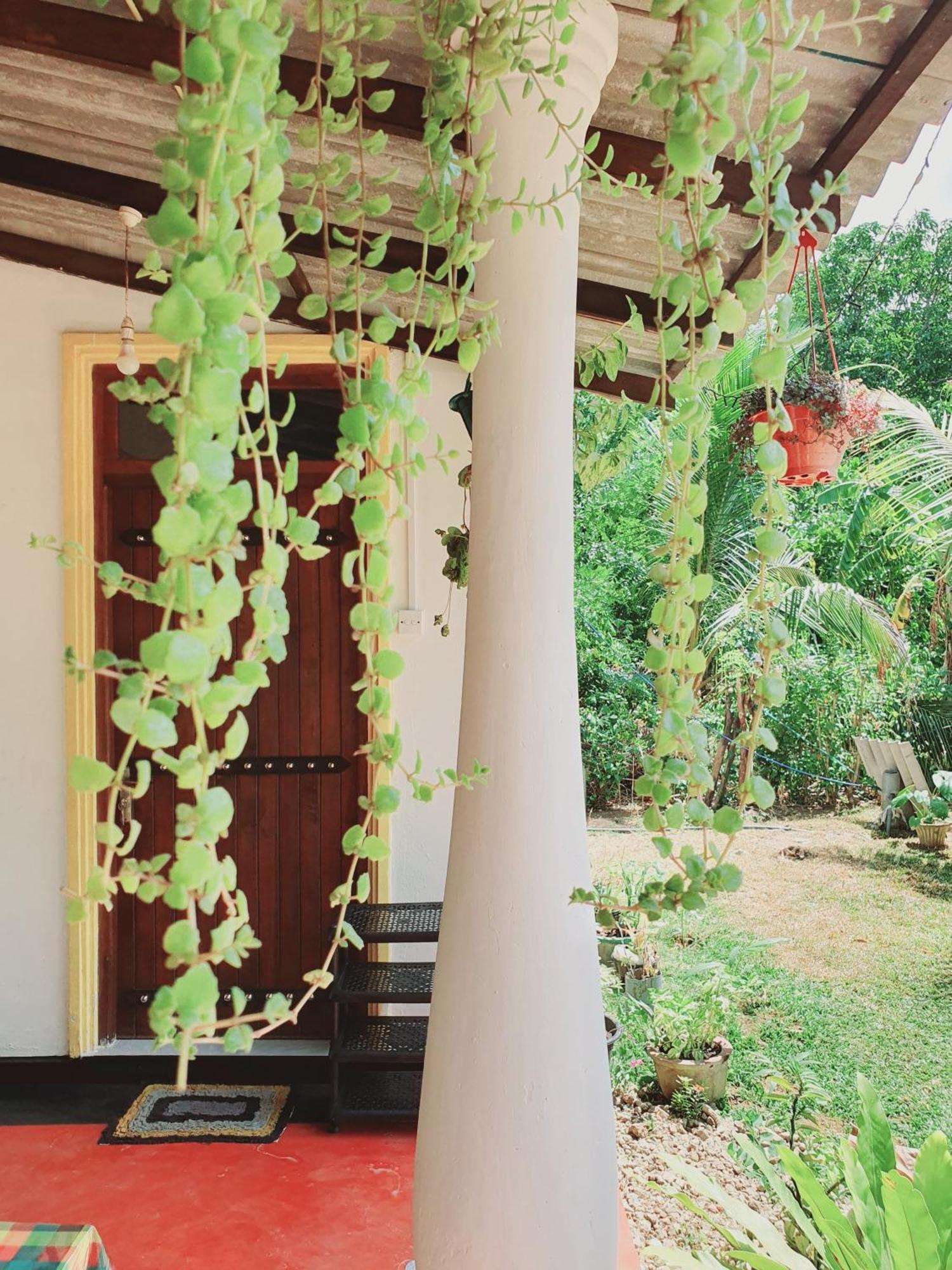 Sanu Home Stay Sigiriya Exteriér fotografie